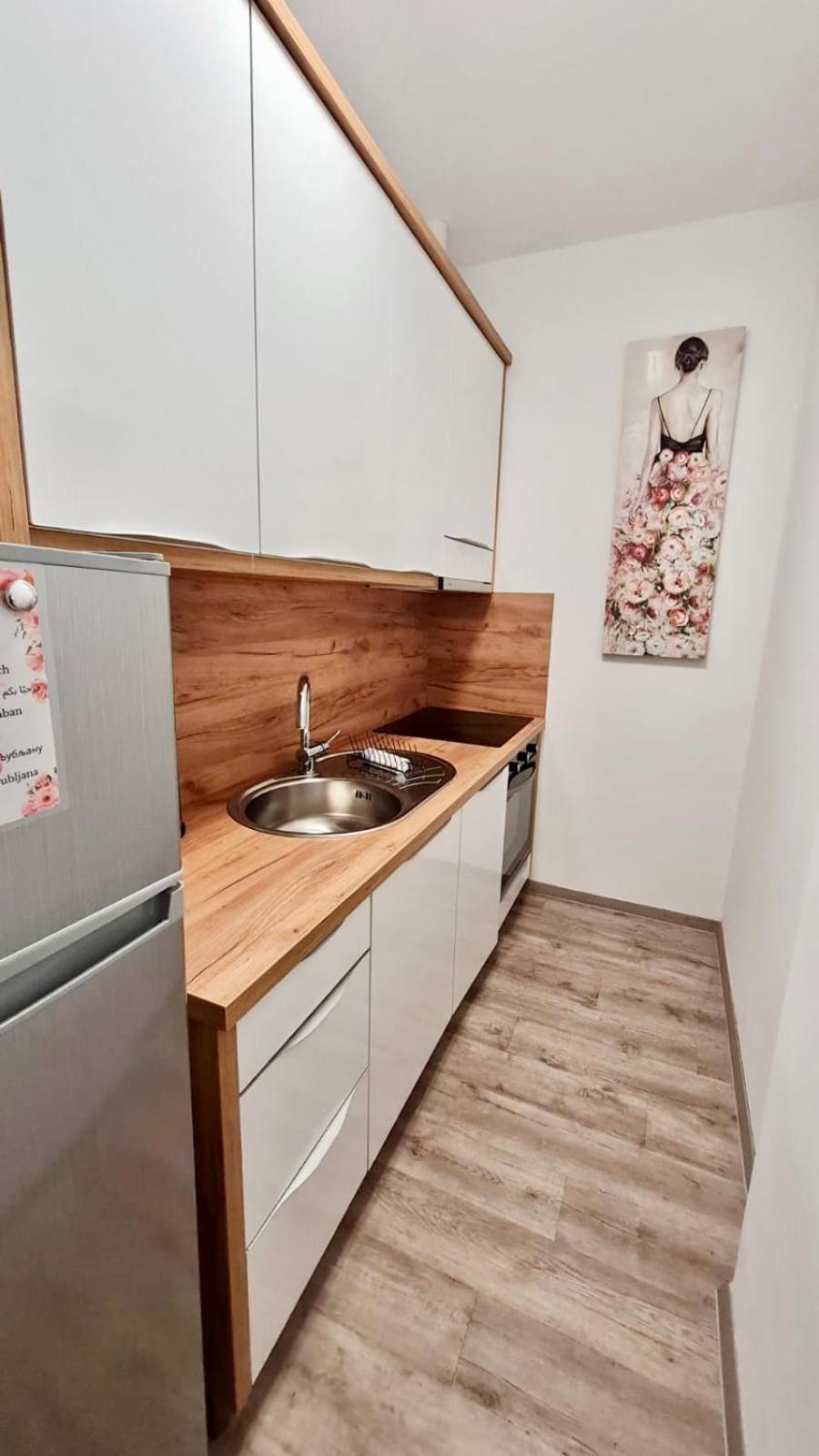 Ljubljana Central Lux Apartment With Free Parking Exterior foto